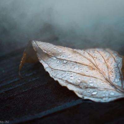 爱游戏全站手机app下载截图